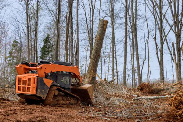 Skid Steer Loader Clearing Tree Root and Brush in Forest