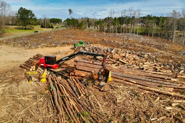 tree removal and cutting during land clearing