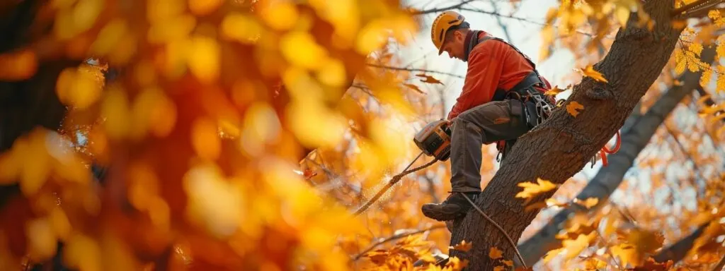 vibrant fall foliage surrounds a tree trimming professional in action.