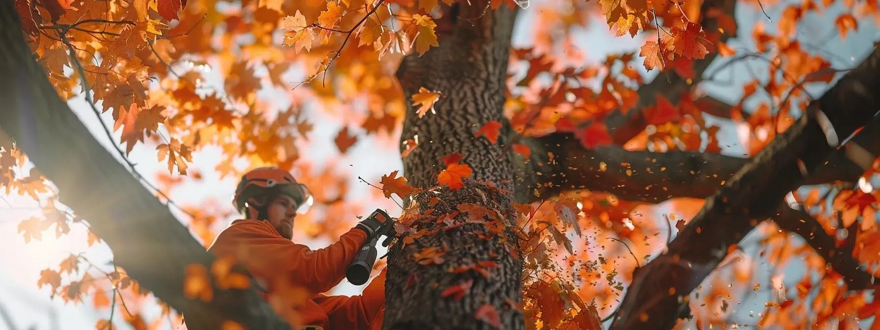 When is the Best Time of Year for Tree Trimming - Shore Tree Service