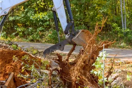 contractor removing a fallen tree