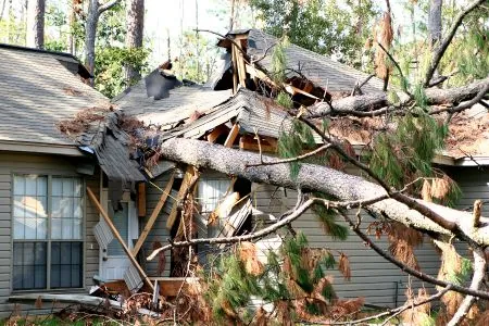 damage cost by fallen tree from hurricane